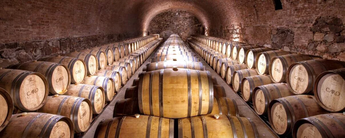 【超絶グランヴァン】プレート　ロマネコンティ The world's most expensive wines – and what they have in common